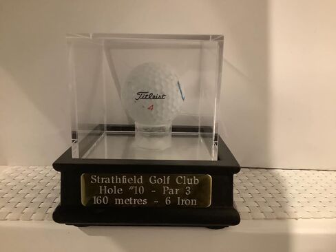DisplayGifts Golf Ball Display Wooden Stand Case with UV Protect Acrylic Cover GB13 Cherry Stand in Saudi Arabia