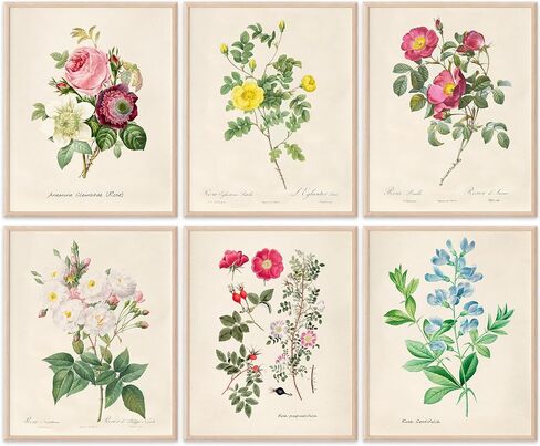 Kitchen Herbs Art Prints - Botanical Prints - (Set of 6) - Unframed - 8x10s | Dining Room Decor - Gifts for Chef or Cook - Restaurant Decor - Rosemary, Thyme, Mint, Parsley, Oregano, and Bay Leaves in Saudi Arabia