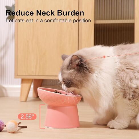 YauYik Raised Cat Bowl Black, Elevated Cat Food Bowls with Tilted Angle, Stress Free, Anti Vomiting, Ceramic Water Bowl for Cats Small Dogs Feeding Dish, 8 Ounces in Kuwait