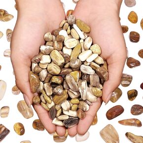 Yellow Tiger Eye Tumbled Stones 1lb 500+Pcs Aquarium Gravel Rocks Natural Polished Crystal Stone Chips Bulk Fish Tank Pebbles Vase Filler Irregular Shaped Crushed Gemstone for Indoor Decor (Medium)