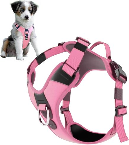 No Pull Dog Harness - Durable Polyester Puppy Harness with Front Anti-Pull Loop, Reflective Strips, and Quick-Release Clips for Small, Medium, and Large Dogs (Forest Green, Medium) in Kuwait