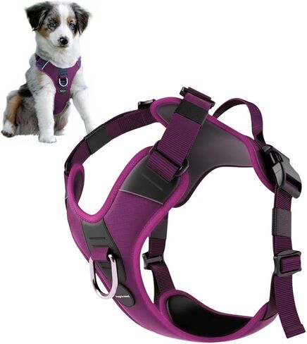 No Pull Dog Harness - Durable Polyester Puppy Harness with Front Anti-Pull Loop, Reflective Strips, and Quick-Release Clips for Small, Medium, and Large Dogs (Forest Green, Medium) in Kuwait