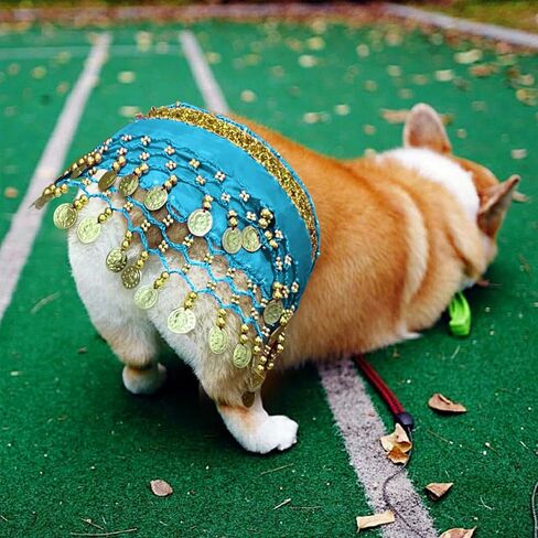 AGLOO Funny Dog Belly Dancer Costume - Shaking Hip Outfit with Sequin Butt Clothes,Scarf for Pet Cosplay Parties (Pink) in Kuwait