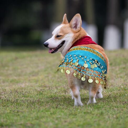 AGLOO Funny Dog Belly Dancer Costume - Shaking Hip Outfit with Sequin Butt Clothes,Scarf for Pet Cosplay Parties (Pink) in Kuwait