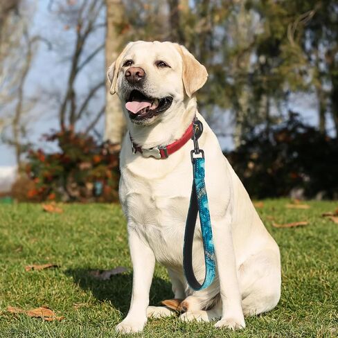 Short Dog Leash,Traffic Leash,Reflective Nylon Padded Handle,Nylon Short Dog Leash for Training Control - for Large and Medium Sized Dogs. (Pink Marble) in Kuwait
