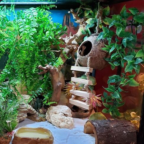 kathson Reptile Plant Succulent,Artificial Plants Aquarium &Terrarium Accessories for Bearded Dragon Crested Leopard Gecko Lizard Chameleon Tortoise Betta Fish Hermit Crab in Kuwait