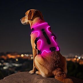Light Up Dog Harness,No Pull Led Dog Harness,Rechargeable Lighted Dog Harness for Night Walking,Reflective Flashing Dog Harness, Glowing in The Dark Dog Harness (Pink, Medium)