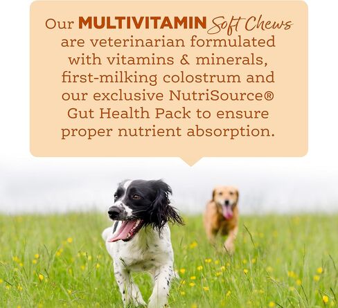 NutriSource AmpliFull Turkey Flavor Calming Dog Soft Chews, Daily Anxiety & Stress Relief Supplement for Dogs, High Absorption for Relaxation, 70 Chews (1 Pack) in Kuwait