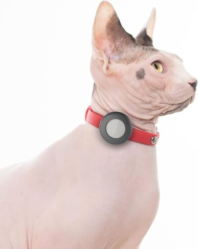 Airtag Breakaway Cat Collar - Soft, Comfortable, and Lightweight Safety Buckle Collar with Air Tag GPS Tracker Holder for Outdoor Cats and Sensitive Skin Kittens by Nuvuq (6 ⅞" to 10 ¼", Blue) in Kuwait
