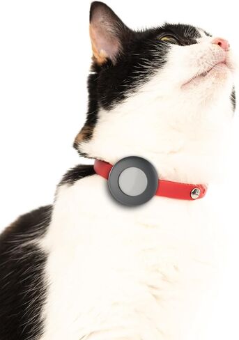 Airtag Breakaway Cat Collar - Soft, Comfortable, and Lightweight Safety Buckle Collar with Air Tag GPS Tracker Holder for Outdoor Cats and Sensitive Skin Kittens by Nuvuq (6 ⅞" to 10 ¼", Blue) in Kuwait
