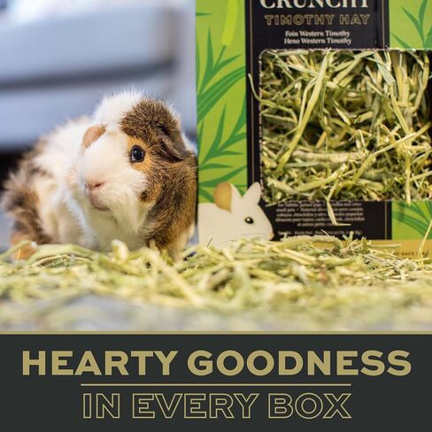 Oxbow Prime Cut Soft & Lush Timothy Hay, Premium Hays for Rabbits, Guinea Pigs, and Chinchilla, High-Fiber Hay, Rabbit Dental Health, 20oz in Kuwait