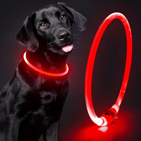 Light Up Dog Collar - Waterproof LED Dog Collar Rechargeble, TPU Cuttable Glow in The Dark Safety Dog Lights for Night Walking(Blue) in Kuwait