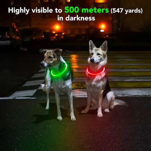Light Up Dog Collar - Waterproof LED Dog Collar Rechargeble, TPU Cuttable Glow in The Dark Safety Dog Lights for Night Walking(Blue) in Kuwait