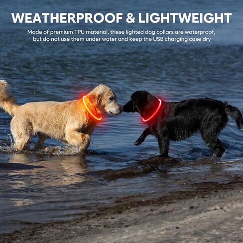 Light Up Dog Collar - Waterproof LED Dog Collar Rechargeble, TPU Cuttable Glow in The Dark Safety Dog Lights for Night Walking(Blue) in Kuwait