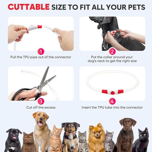 Light Up Dog Collar - Waterproof LED Dog Collar Rechargeble, TPU Cuttable Glow in The Dark Safety Dog Lights for Night Walking(Blue) in Kuwait