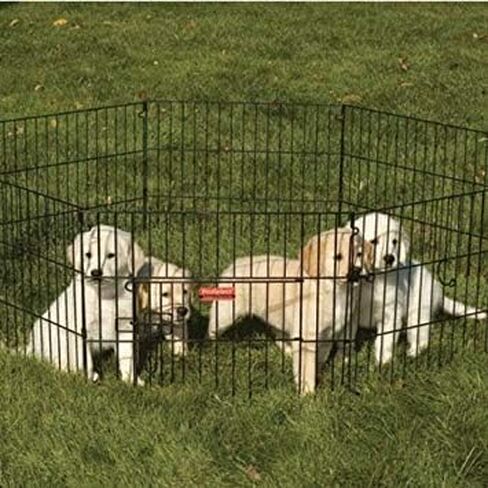 ProSelect Everlasting Exercise Pens for Dogs and Pets in Kuwait