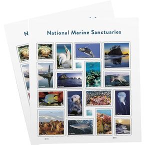 National Marine Sanctuaries USPS Forever Postage Stamp 2 Sheets of 16 US First Class Postal Ocean Sea Fish Coral Water Birthday Anniversary Wedding Celebrate (32 Stamps)