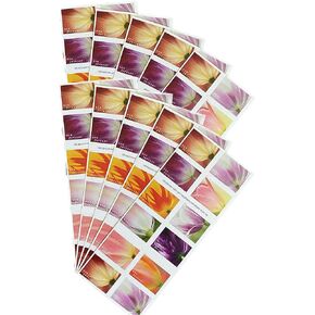2023 Tulip Blossom Forever First Class Postage Stamps (200 Stamps (10 booklets of 20))