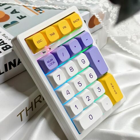 BOYI TD21 Hot Swappable Numpad,21 Keys Mini Numpad Portable Keypad Bluetooth 5.0/2.4GHz/Wired Number Pad Keyboard PBT Keycaps RGB Backlit Type-C Mini Keyboard(Black Transparent Keycaps) in Kuwait