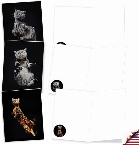 The Best Card Company 20 Assorted Funny Blank Notecards Boxed Set 4 x 5.12 Inch with Envelopes (10 Designs, 2 Each), For Women, Maude Antics AM8594OCB-B2x10 in Kuwait