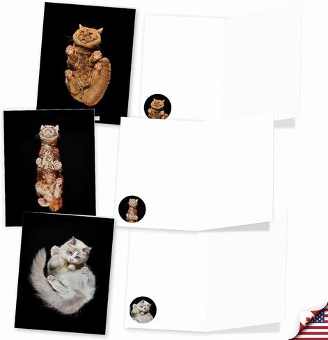 The Best Card Company 20 Assorted Funny Blank Notecards Boxed Set 4 x 5.12 Inch with Envelopes (10 Designs, 2 Each), For Women, Maude Antics AM8594OCB-B2x10 in Kuwait