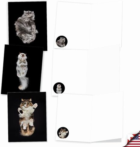 The Best Card Company 20 Assorted Funny Blank Notecards Boxed Set 4 x 5.12 Inch with Envelopes (10 Designs, 2 Each), For Women, Maude Antics AM8594OCB-B2x10 in Kuwait