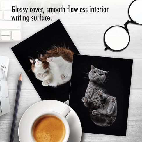 The Best Card Company 20 Assorted Funny Blank Notecards Boxed Set 4 x 5.12 Inch with Envelopes (10 Designs, 2 Each), For Women, Maude Antics AM8594OCB-B2x10 in Kuwait
