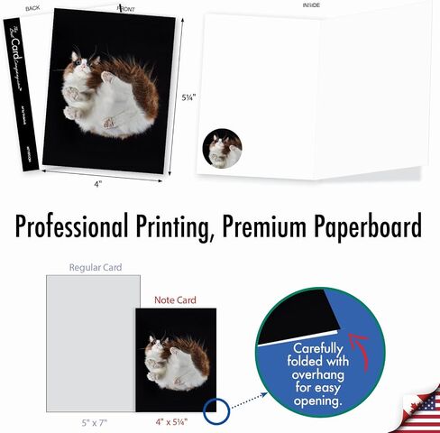 The Best Card Company 20 Assorted Funny Blank Notecards Boxed Set 4 x 5.12 Inch with Envelopes (10 Designs, 2 Each), For Women, Maude Antics AM8594OCB-B2x10 in Kuwait
