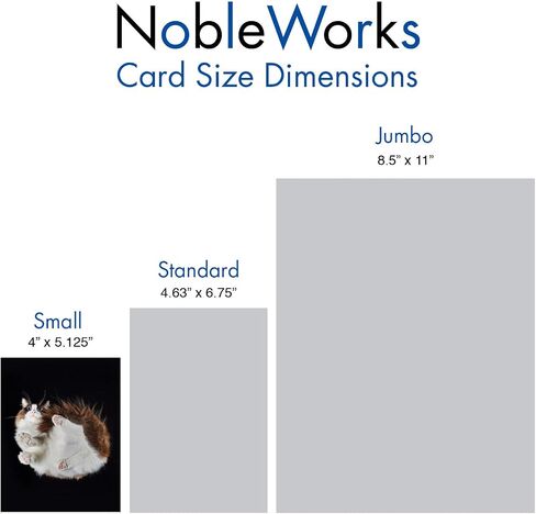 The Best Card Company 20 Assorted Funny Blank Notecards Boxed Set 4 x 5.12 Inch with Envelopes (10 Designs, 2 Each), For Women, Maude Antics AM8594OCB-B2x10 in Kuwait