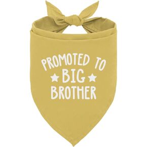 تمت ترقيته إلى Big Brother Dog Bandana ، وملحقات Dog Dicf ، و Notriangle Darf Bandanas Bibs ، و Dog Bandana Gift ، و Dog Bandana for Small Medium Dogs ، و Apt Scarf Confer Excalies (D124)