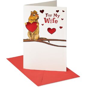 American Greetings Valentines Day Card for Wife (Luckiest Guy Ever)