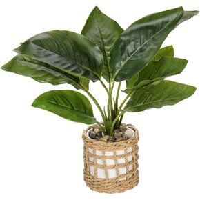 Briful Small Fake Plant 13" Artificial Fiddle Leaf Fig Plant Faux Ficus Lyrata Plant in White Ceramic Fake House Plant for Home Decor Indoor Table Office Bathroom Shelf