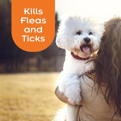 SENTRY Oatmeal Flea and Tick Shampoo for Dogs, Rid Your Dog of Fleas, Ticks, and Other Pests, Hawaii Ginger Scent, 63.5 oz in Saudi Arabia