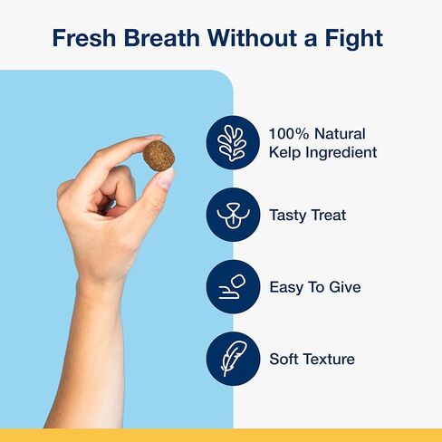 ProDen PlaqueOff Soft Chews with Natural Kelp - for Small & Medium Breed Dogs & Cats - Supports Normal, Healthy Teeth, Gums, and Breath Odor in Dogs & Cats - 90 Soft Chews in Kuwait