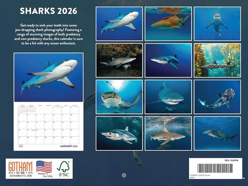 Penguin Calendar 2025 Monthly Wall Calender 12 Month | American Made In The USA in Kuwait