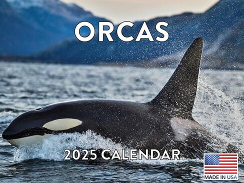 Penguin Calendar 2025 Monthly Wall Calender 12 Month | American Made In The USA in Kuwait