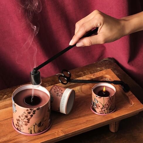 ILLUME Beautifully Done Driftwood Demi Vanity Tin Candle in Kuwait