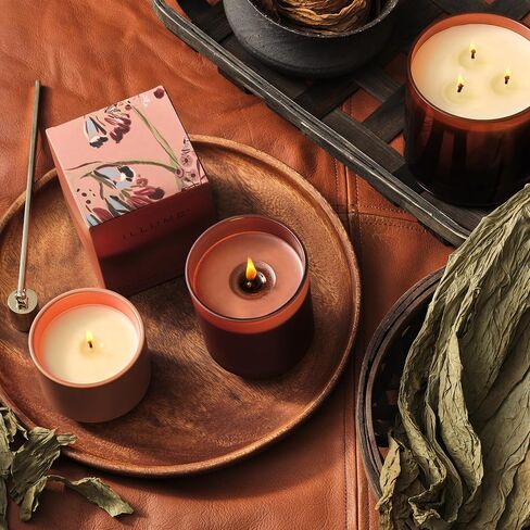 ILLUME Beautifully Done Driftwood Demi Vanity Tin Candle in Kuwait