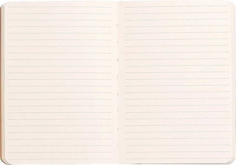 Rhodia Rhodiarama SoftCover Notebook - 72 Dots Sheets - 4 x 5 1/2 - Anise Cover (117356C) in Kuwait