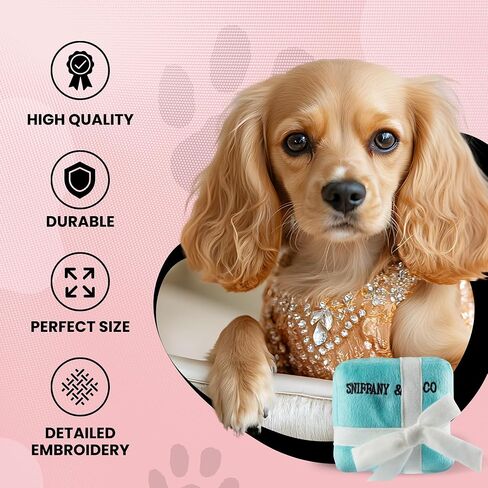 Dog Diggin Designs Priceless Capsule Gift Collection | Unique Squeaky Parody Plush Dog Toys – Thinking Outside The Box in Kuwait