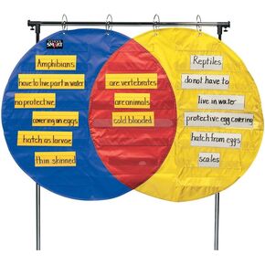 School Smart 85139 Venn Diagram Pocket Chart - 23 Pockets - 54 x 35 1/2 inches