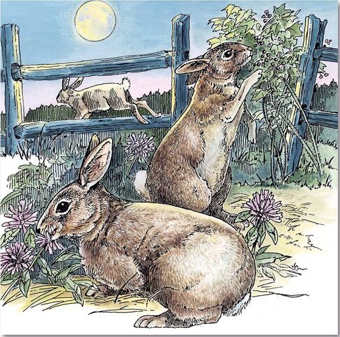 A Walk in the Woods (Dover Nature Coloring Book) in Saudi Arabia