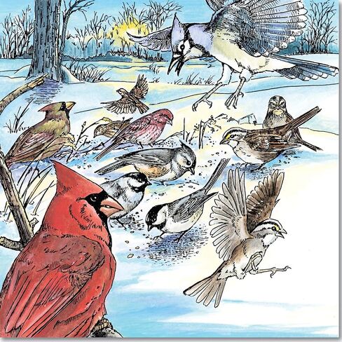 A Walk in the Woods (Dover Nature Coloring Book) in Saudi Arabia