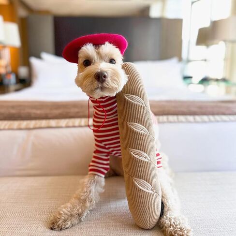 Dog Plush Squeaky Toy, Interactive Bagel Shape Puppy Snuffle Toys, Cute Dog Puzzle Enrichment Toy Treat Puzzle for Small and Medium Dogs in Saudi Arabia