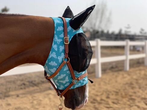 قناع ذبابة الحصان TGW RIDING، قناع ذبابة الحصان فائق الراحة، قناع ذبابة مرن مع آذان، نحن نصنع فقط المنتجات التي تحبها الخيول (أبيض، L) in Kuwait