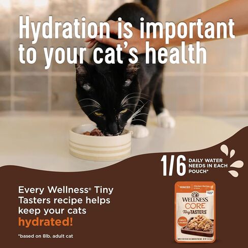 Wellness CORE Tiny Tasters Wet Kitten Food, Complete & Balanced Natural Pet Food, Made with Real Meat, 1.75-Ounce Pouch, 12 Pack (Kitten, Chicken Pate) in Kuwait