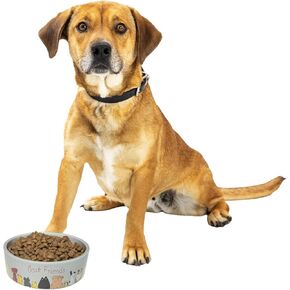 منتجات Ethical Pet Products 68054694: طبق بيضاوي لصديق المفضل 5 انش