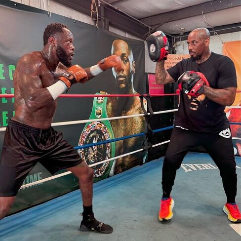 قفازات TK Boxing Gladiator Bag Mitt، مثالية لتقوية اليد والملاكمة والكيك بوكسينغ وفنون القتال المختلطة للرجال والنساء in Kuwait