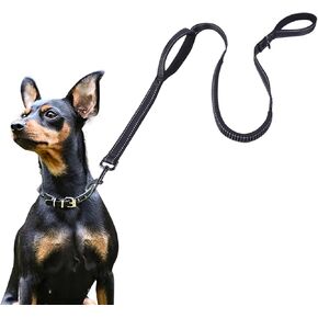 ECO-CLEAN Dog Leash, 6 Ft Bungee Dog Training Leash, Reflective Dog Leash for Medium Large Dogs, Shock Absorbing Retractable Strong Dog Leash with Padded Double Handle