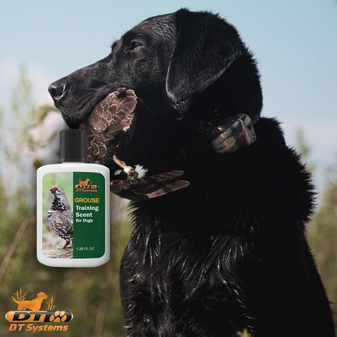 D.T. Systems Training Scent for Pets, 1-1/4-Ounce, Rabbit in Saudi Arabia